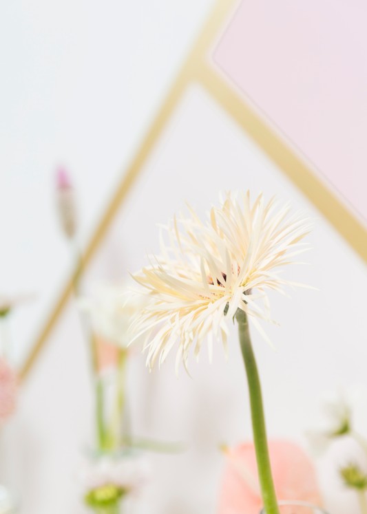 芬琳絲柔漆怎樣？揭開芬琳絲柔漆的真面目