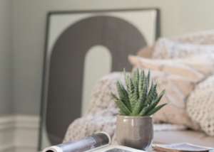 環保涂料漆價格市面上都很貴嗎